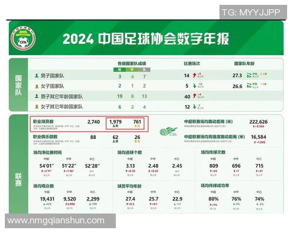 中国足球球星年收入揭秘 各大球员薪资差异及背后故事分析