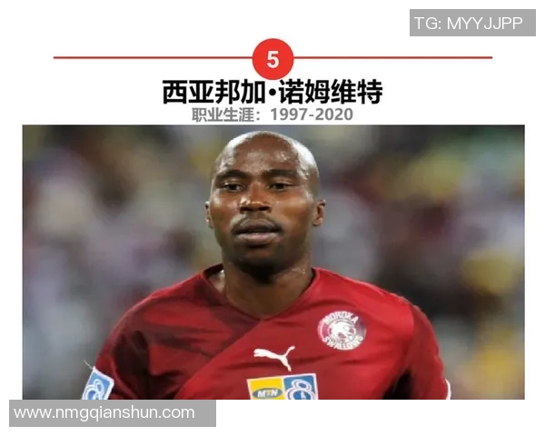 南非足球队历史十大球星排名及其辉煌成就分析 南非足球队历史十大球星排名及其辉煌成就分析