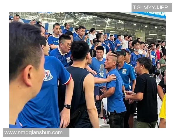 足坛明星惨遭球迷围攻